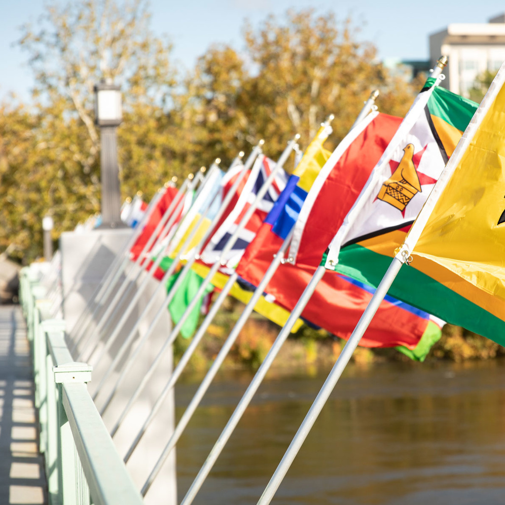 flags on bridge